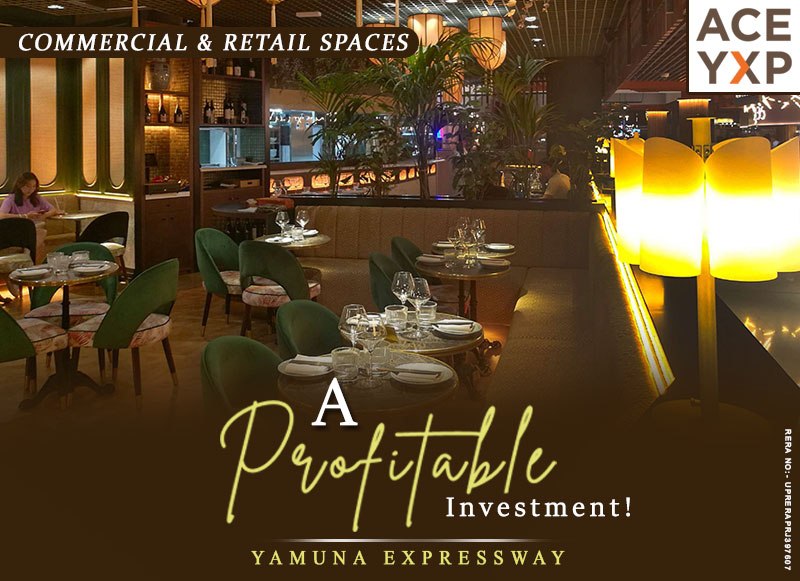 ace yxp by ace group